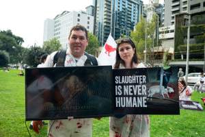 Dominion Animal Rights Marc 2025 - Captured at VIC.