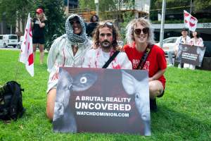 Dominion Animal Rights Marc 2025 - Captured at VIC.
