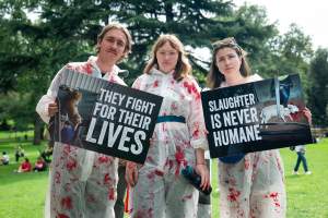 Dominion Animal Rights Marc 2025 - Captured at VIC.