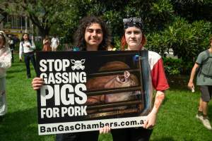 Dominion Animal Rights Marc 2025 - Captured at VIC.