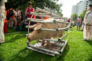 Dominion Animal Rights Marc 2025 - Captured at VIC.