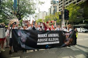 Dominion Animal Rights Marc 2025 - Captured at VIC.