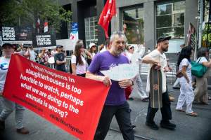 Dominion Animal Rights Marc 2025 - Captured at VIC.
