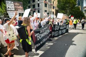 Dominion Animal Rights Marc 2025 - Captured at VIC.