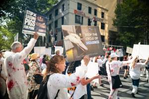 Dominion Animal Rights March 2025 - Captured at VIC.