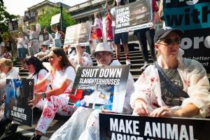 Dominion Animal Rights March 2025 - Captured at VIC.