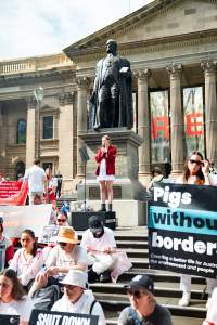 Dominion Animal Rights March 2025 - Captured at VIC.
