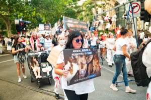 Dominion Animal Rights March 2025 - Captured at VIC.