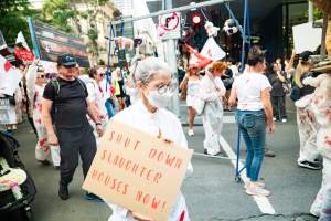 Dominion Animal Rights March 2025 - Captured at VIC.