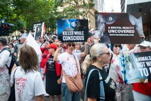 Dominion Animal Rights March 2025 - Captured at VIC.