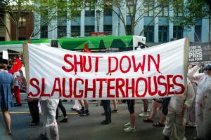 Dominion Animal Rights March 2025 - Captured at VIC.