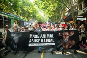 Dominion Animal Rights March 2025 - Captured at VIC.