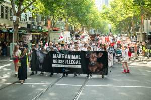Dominion Animal Rights March 2025 - Captured at VIC.