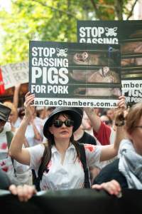 Dominion Animal Rights March 2025 - Captured at VIC.