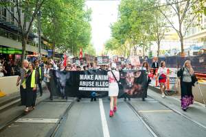 Dominion Animal Rights March 2025 - Captured at VIC.