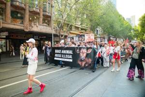 Dominion Animal Rights March 2025 - Captured at VIC.