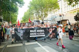 Dominion Animal Rights March 2025 - Captured at VIC.
