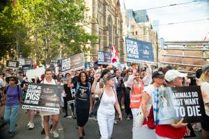 Dominion Animal Rights March 2025 - Captured at VIC.