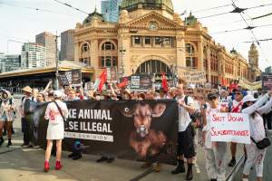 Dominion Animal Rights March 2025 - Captured at VIC.