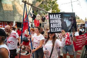 Dominion Animal Rights March 2025 - Captured at VIC.