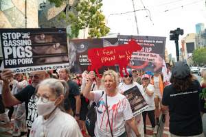 Dominion Animal Rights March 2025 - Captured at VIC.