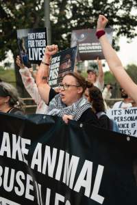 Dominion Animal Rights March 2025 - Captured at VIC.