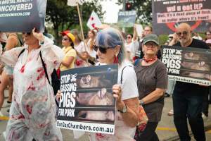 Dominion Animal Rights March 2025 - Captured at VIC.