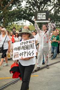 Dominion Animal Rights March 2025 - Captured at VIC.