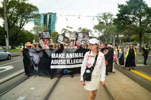 Dominion Animal Rights March 2025 - Captured at VIC.