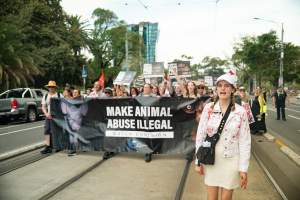 Dominion Animal Rights March 2025 - Captured at VIC.