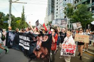 Dominion Animal Rights March 2025 - Captured at VIC.