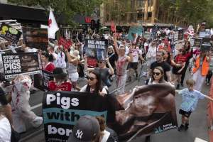 Photo: Dominion Animal Rights March - Farm Transparency Project (FTP ...
