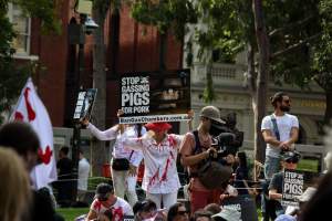 Dominion Animal Rights March 2025 - Photos taken at the Dominion Animal Rights March in 2025, where activists and members of the public marched in the Melbourne CBD for animals exploited within Australia and across the world. - Captured at VIC.