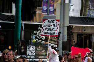 Dominion Animal Rights March 2025 - Photos taken at the Dominion Animal Rights March in 2025, where activists and members of the public marched in the Melbourne CBD for animals exploited within Australia and across the world. - Captured at VIC.