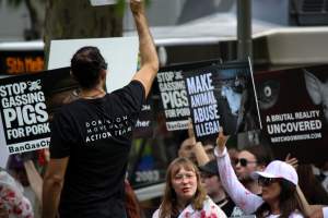 Dominion Animal Rights March 2025 - Photos taken at the Dominion Animal Rights March in 2025, where activists and members of the public marched in the Melbourne CBD for animals exploited within Australia and across the world. - Captured at VIC.