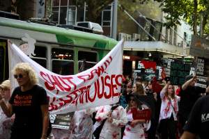 Dominion Animal Rights March 2025 - Photos taken at the Dominion Animal Rights March in 2025, where activists and members of the public marched in the Melbourne CBD for animals exploited within Australia and across the world. - Captured at VIC.