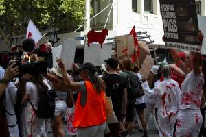 Dominion Animal Rights March 2025 - Photos taken at the Dominion Animal Rights March in 2025, where activists and members of the public marched in the Melbourne CBD for animals exploited within Australia and across the world. - Captured at VIC.