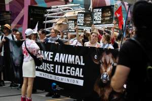 Dominion Animal Rights March 2025 - Photos taken at the Dominion Animal Rights March in 2025, where activists and members of the public marched in the Melbourne CBD for animals exploited within Australia and across the world. - Captured at VIC.