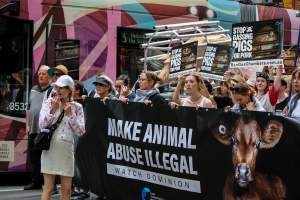 Dominion Animal Rights March 2025 - Photos taken at the Dominion Animal Rights March in 2025, where activists and members of the public marched in the Melbourne CBD for animals exploited within Australia and across the world. - Captured at VIC.
