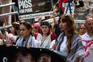 Dominion Animal Rights March 2025 - Photos taken at the Dominion Animal Rights March in 2025, where activists and members of the public marched in the Melbourne CBD for animals exploited within Australia and across the world. - Captured at VIC.