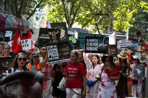 Dominion Animal Rights March 2025 - Photos taken at the Dominion Animal Rights March in 2025, where activists and members of the public marched in the Melbourne CBD for animals exploited within Australia and across the world. - Captured at VIC.