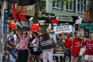Dominion Animal Rights March 2025 - Photos taken at the Dominion Animal Rights March in 2025, where activists and members of the public marched in the Melbourne CBD for animals exploited within Australia and across the world. - Captured at VIC.