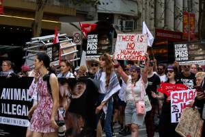 Dominion Animal Rights March 2025 - Photos taken at the Dominion Animal Rights March in 2025, where activists and members of the public marched in the Melbourne CBD for animals exploited within Australia and across the world. - Captured at VIC.