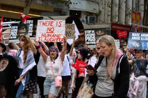 Dominion Animal Rights March 2025 - Photos taken at the Dominion Animal Rights March in 2025, where activists and members of the public marched in the Melbourne CBD for animals exploited within Australia and across the world. - Captured at VIC.