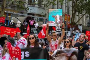 Dominion Animal Rights March 2025 - Photos taken at the Dominion Animal Rights March in 2025, where activists and members of the public marched in the Melbourne CBD for animals exploited within Australia and across the world. - Captured at VIC.