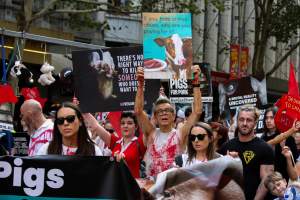 Dominion Animal Rights March 2025 - Photos taken at the Dominion Animal Rights March in 2025, where activists and members of the public marched in the Melbourne CBD for animals exploited within Australia and across the world. - Captured at VIC.