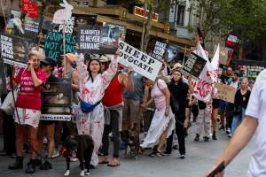 Dominion Animal Rights March 2025 - Photos taken at the Dominion Animal Rights March in 2025, where activists and members of the public marched in the Melbourne CBD for animals exploited within Australia and across the world. - Captured at VIC.