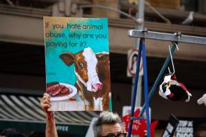 Dominion Animal Rights March 2025 - Photos taken at the Dominion Animal Rights March in 2025, where activists and members of the public marched in the Melbourne CBD for animals exploited within Australia and across the world. - Captured at VIC.