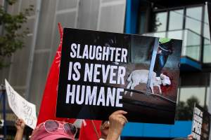 Dominion Animal Rights March 2025 - Photos taken at the Dominion Animal Rights March in 2025, where activists and members of the public marched in the Melbourne CBD for animals exploited within Australia and across the world. - Captured at VIC.