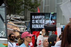 Dominion Animal Rights March 2025 - Photos taken at the Dominion Animal Rights March in 2025, where activists and members of the public marched in the Melbourne CBD for animals exploited within Australia and across the world. - Captured at VIC.
